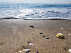 Spiaggia di Cavallino-Treporti