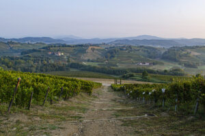 Collio Panorama