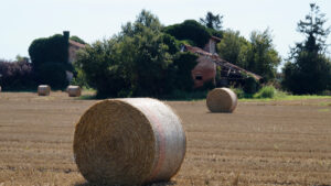 palle di fieno nel campo