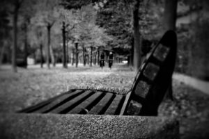 Panchina al Parco