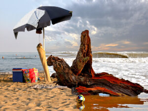 ombrellone e tronco in spiaggia