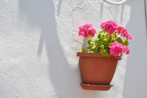 Vaso di fiori appeso al muro con geranei