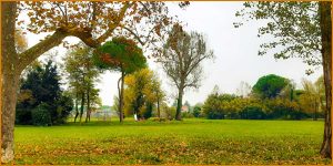 Alberi e parco in autunno Cavallino-Treporti